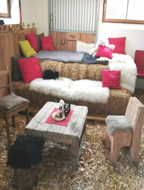 Gindel und Brände, Hausbrennerei Zündelhof, Ginstadel, Hörbranz, Leiblachtal